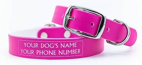 C4 Solid Waterproof Hypoallergenic Dog Collar