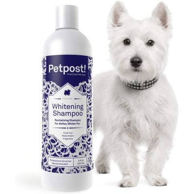 Petpost Whitening Dog Shampoo