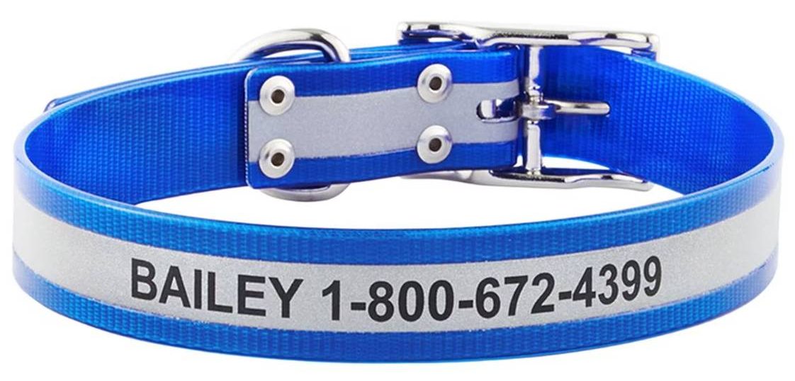 GoTags Waterproof Personalized Reflective Dog Collar
