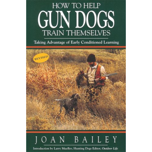 How to Help Gun Dogs Train Themselves 