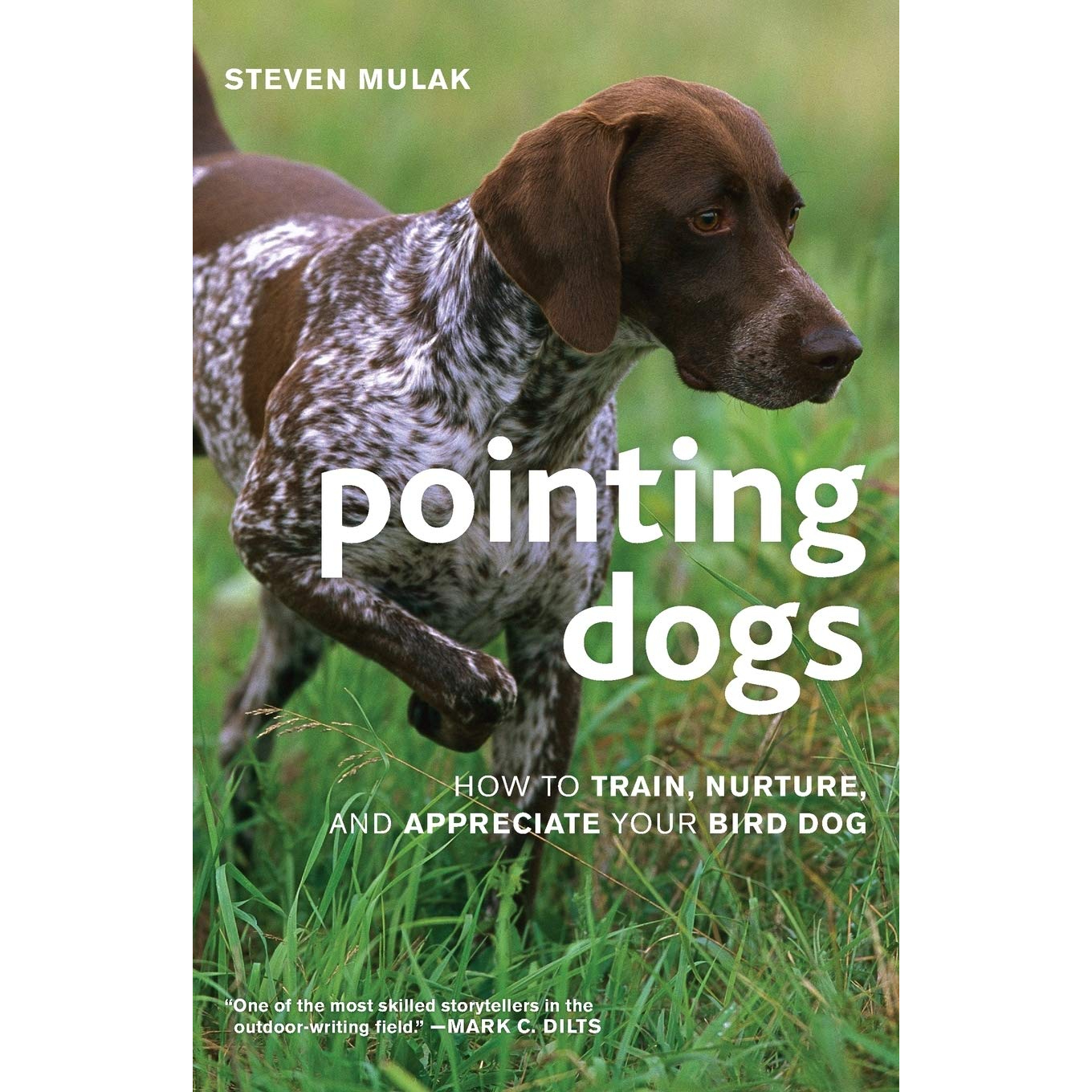 Pointing Dogs