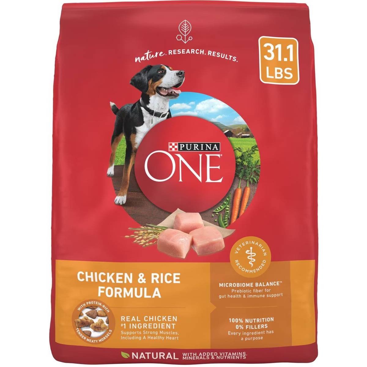 Purina ONE SmartBlend Adult Dog Food