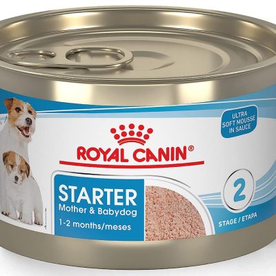 Royal Canin Starter Mother & Babydog Canned Food