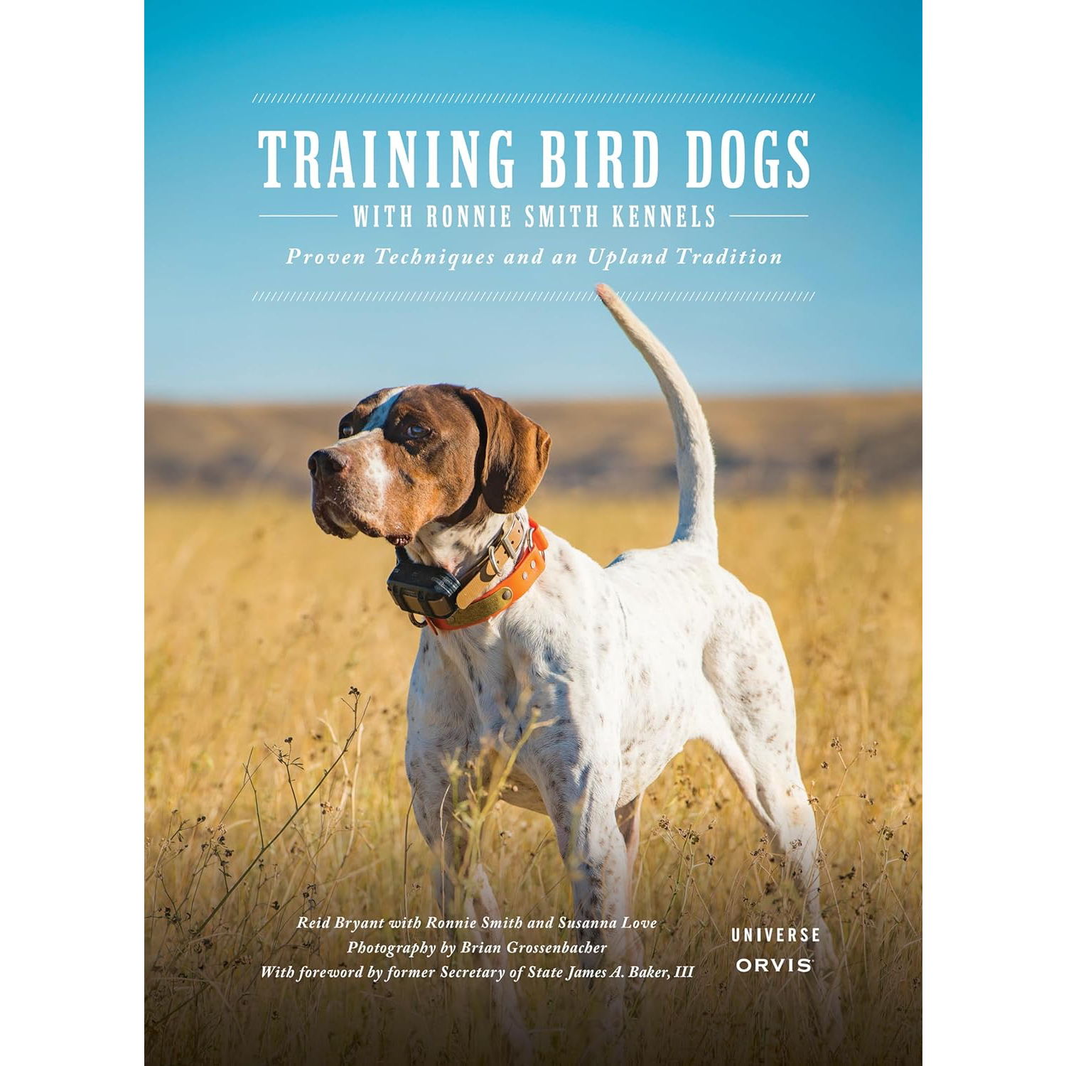 Training Bird Dogs with Ronnie Smith Kennels 