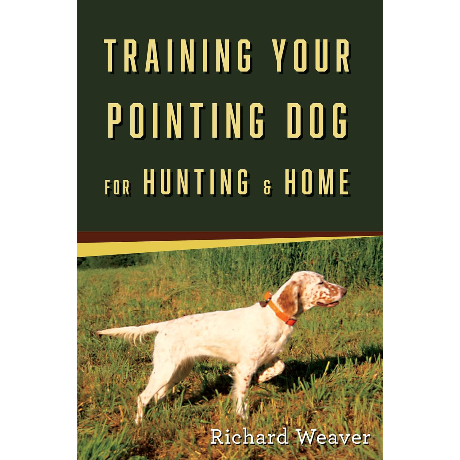 Training Your Pointing Dog for Hunting & Home 