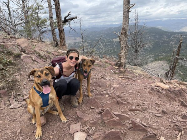 dog friendly hiking at bear peak in colorado