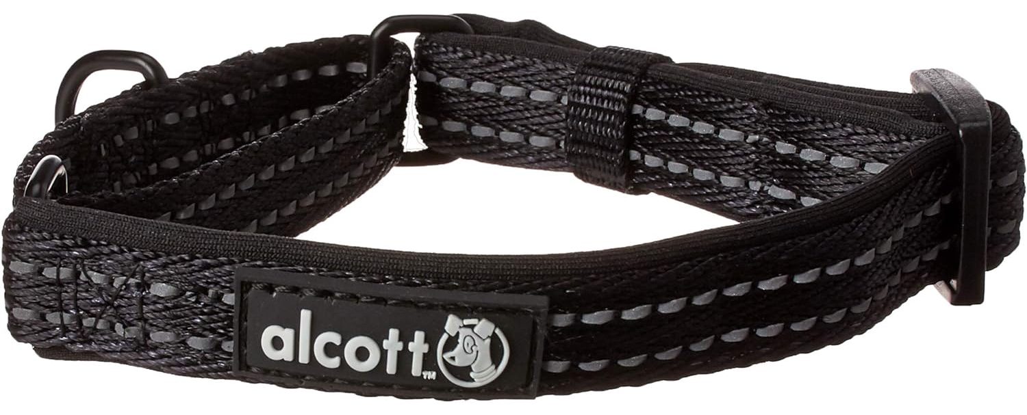 Alcott Martingale Collar with Reflective Stitching & Neoprene Padding 