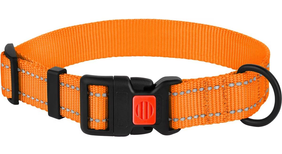 CollarDirect Adjustable Reflective Nylon Dog Collar