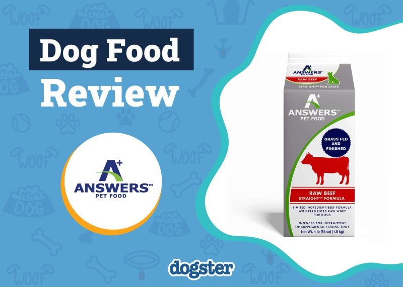 Dogster_Answers Dog Food Review