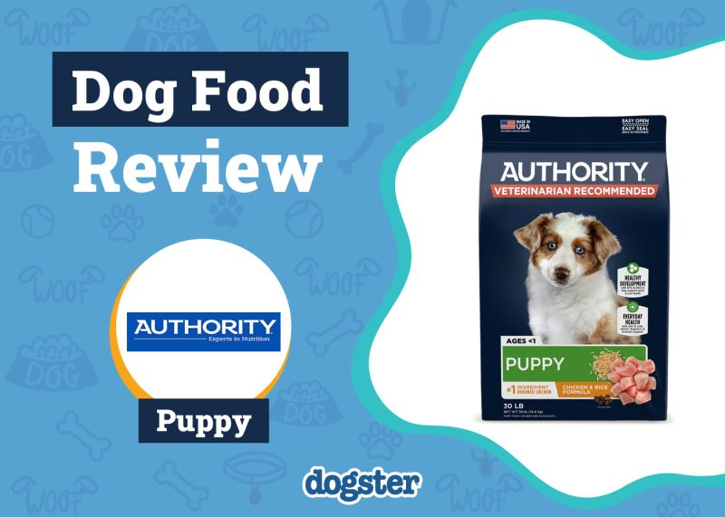 Dogster_Authority Puppy Food Review