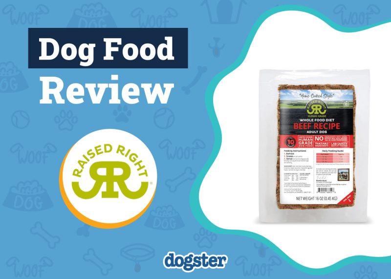 Dogster_Raised Right Human-Grade Dog Food Review
