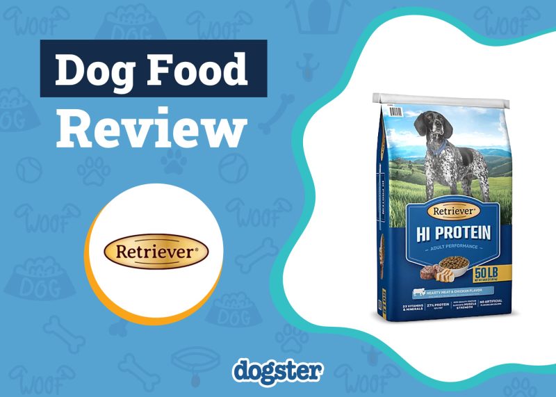 Dogster_Retriever Dog Food Review