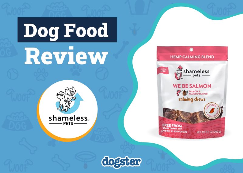 Dogster_Shameless Pets Dog Treats Review