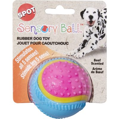 Ethical Pet Sensory Ball