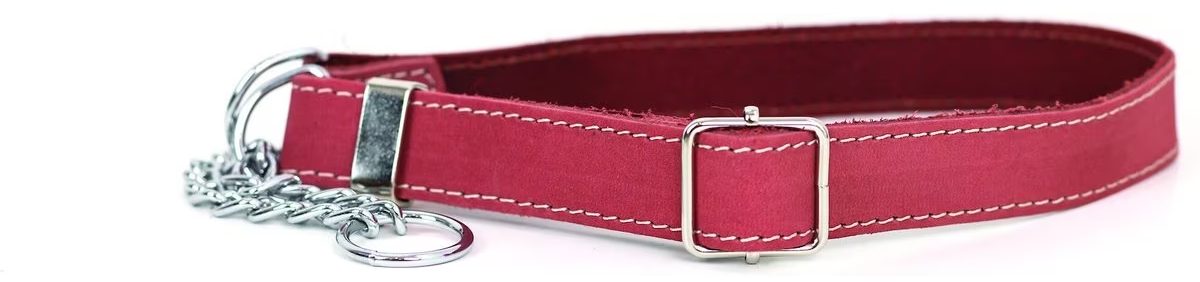 Euro-Dog Luxury Leather Martingale Dog Collar 