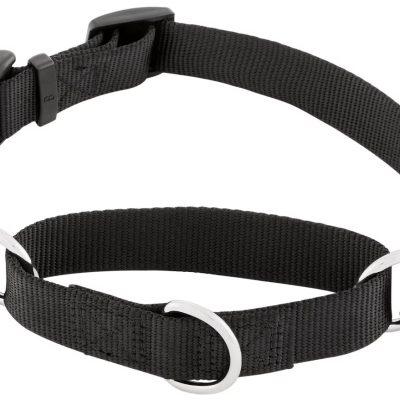 Frisco Martingale Dog Collar With Buckle 