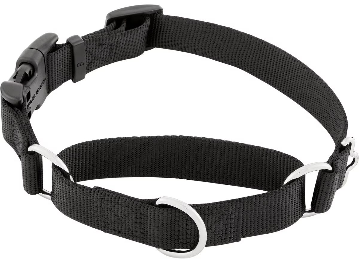 Frisco Solid Nylon Martingale Dog Collar with Buckle