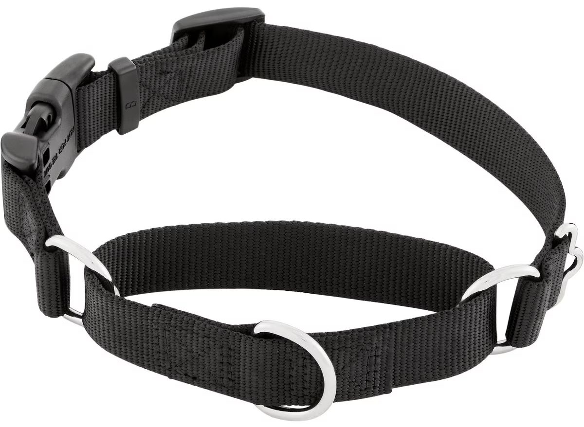 Frisco Solid Nylon Martingale Dog Collar with Buckle 