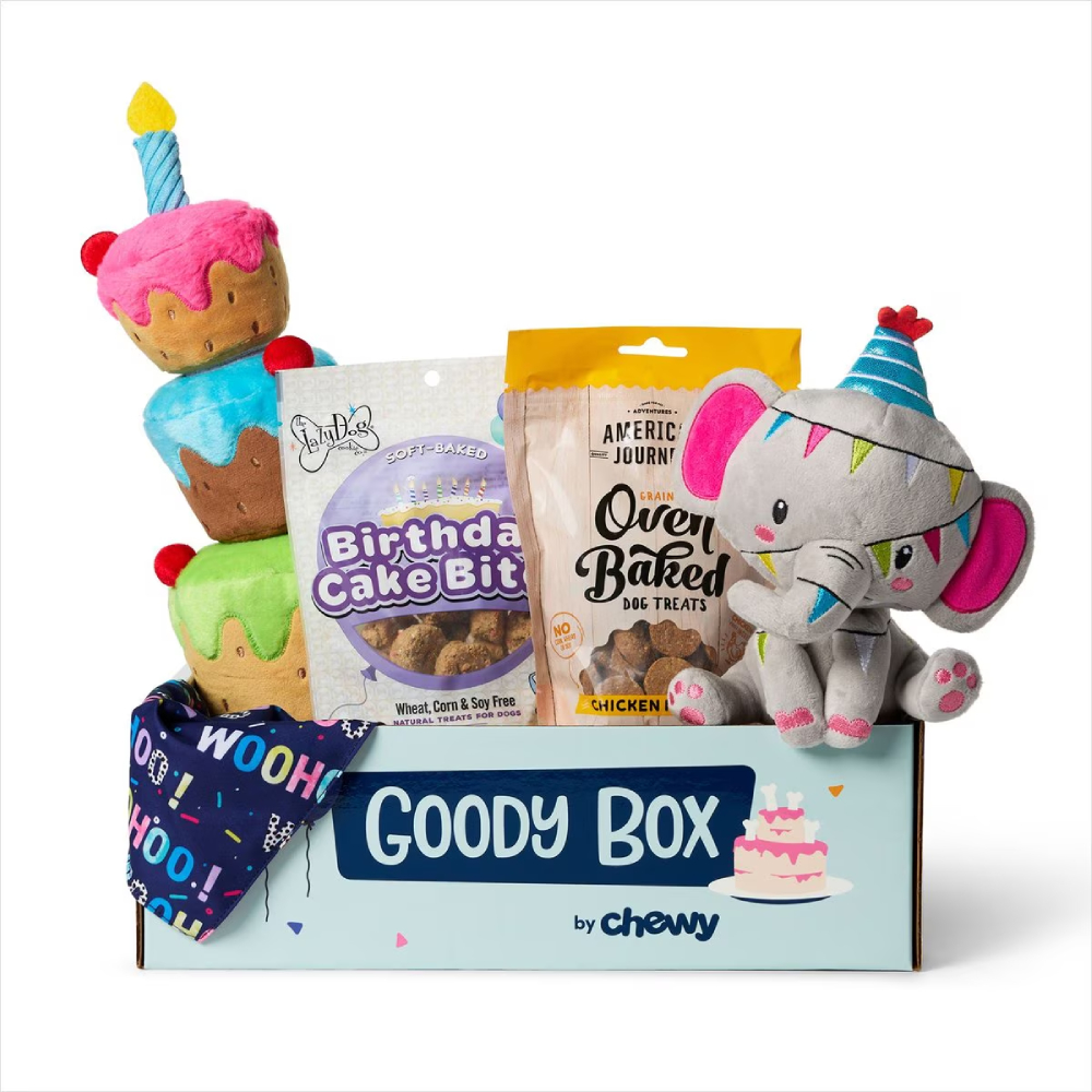 Goody Box Birthday Dog Toys & Treats 