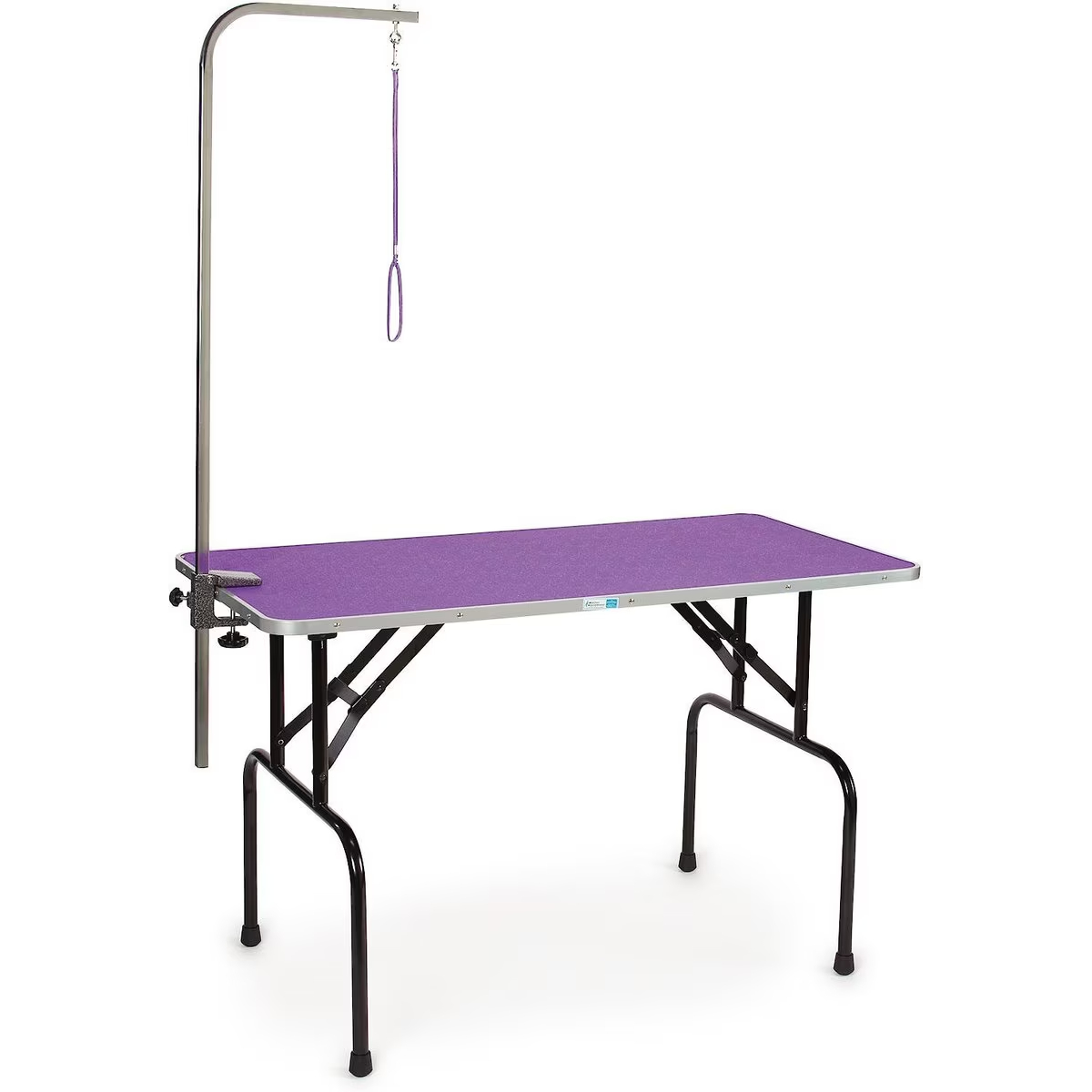 Master Equipment Dog Grooming Table with Arm
