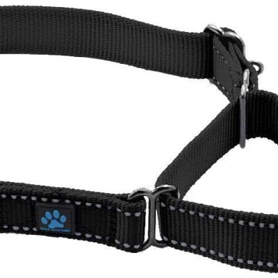 Max and Neo Standard Martingale Collar