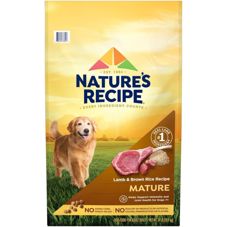 11 Best Lamb Dog Foods in 2024 Reviews & Top Picks Dogster