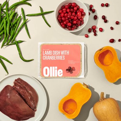 Ollie Lamb Recipe Fresh Dog Food Subscription