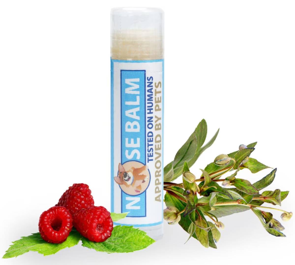 Pawtitas Organic Nose Dog Balm