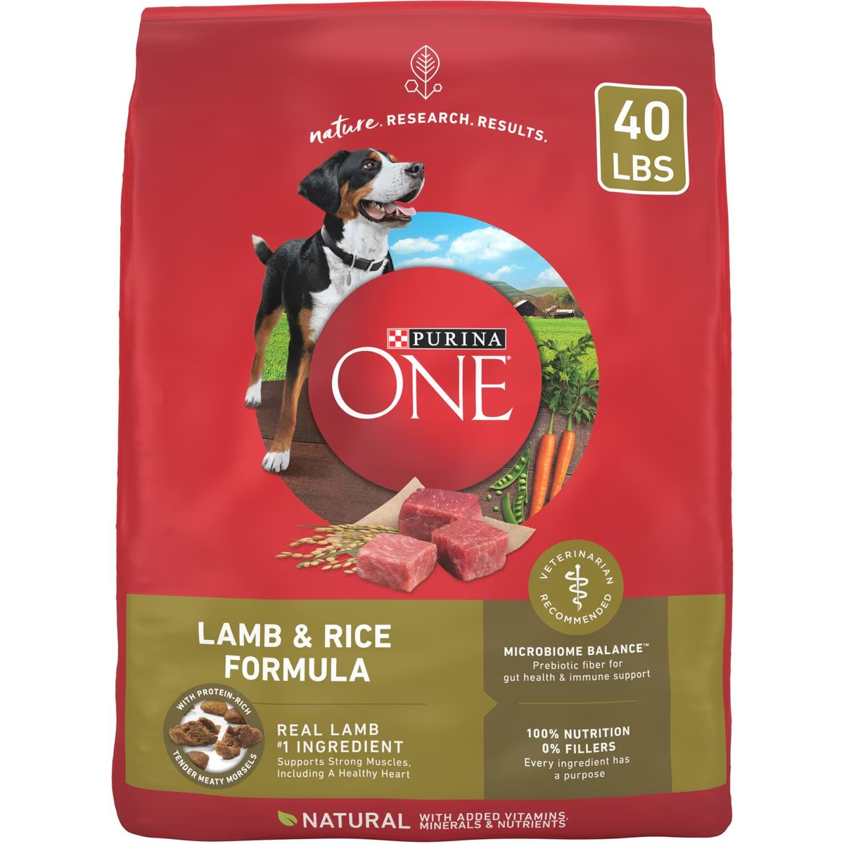 Purina ONE Natural SmartBlend Lamb & Rice Formula Dry Dog Food