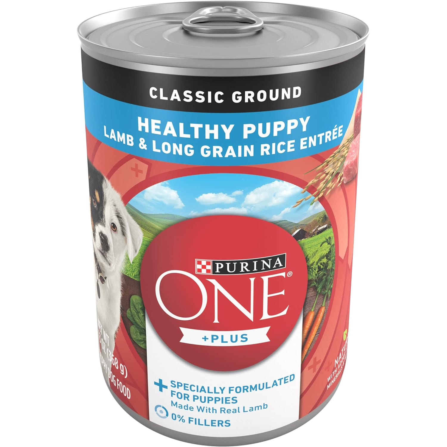 Purina ONE SmartBlend Classic Healthy Puppy Dog Food