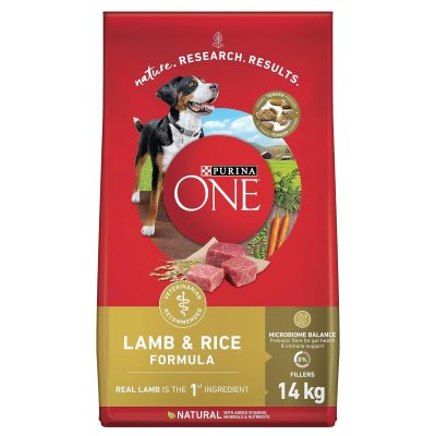 Purina ONE SmartBlend Natural Dry Dog Food