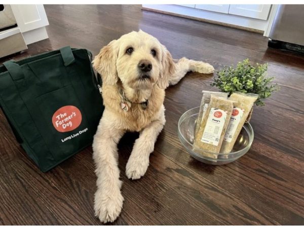 The Farmer’s Dog Chicken Recipe Fresh Dog Food New
