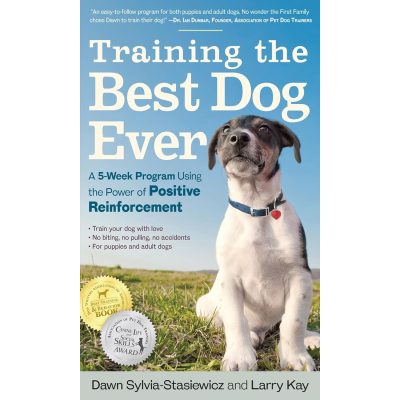 Training the Best Dog Ever