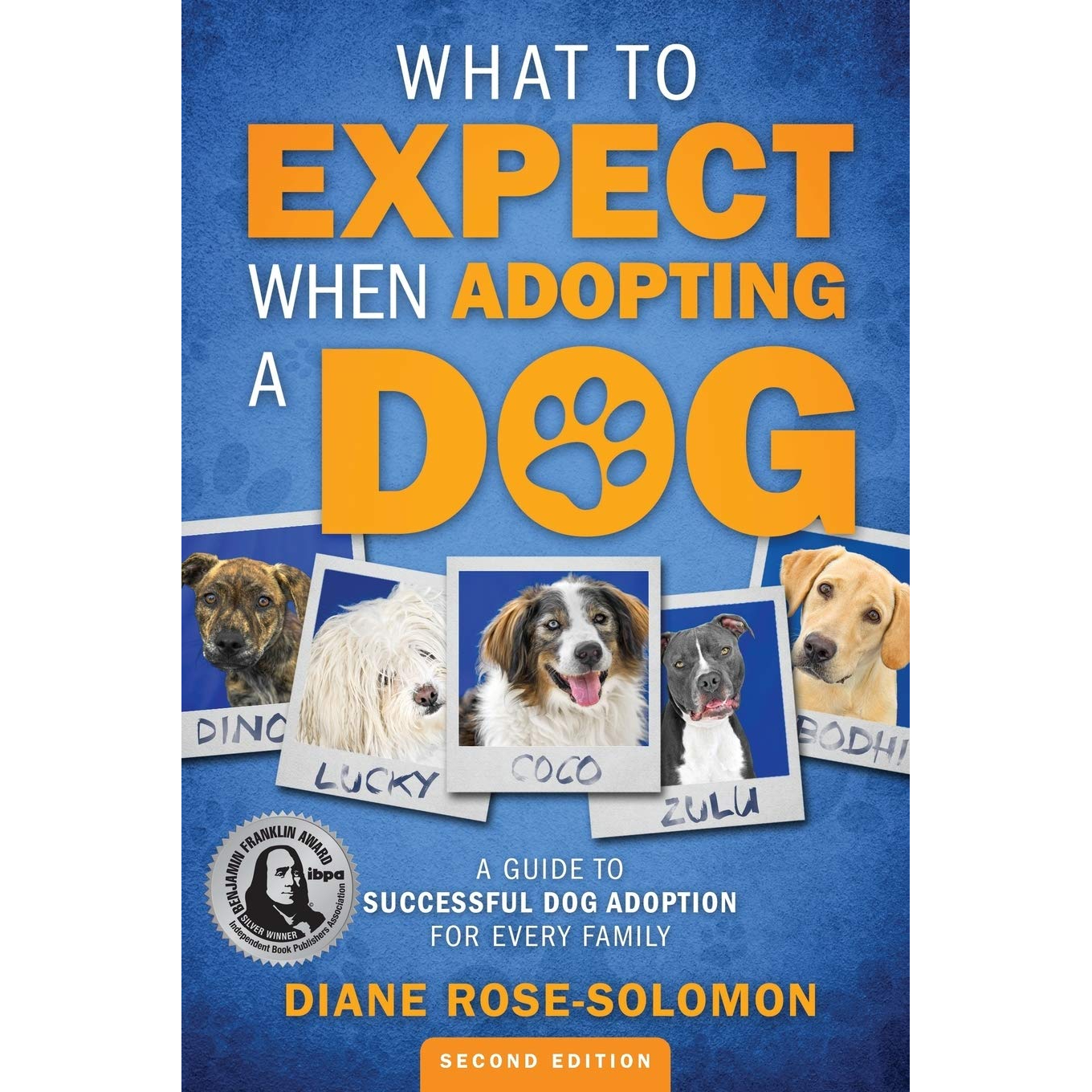 What to Expect When Adopting a Dog