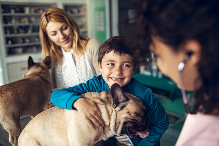 how often should you take your dog to the vet
