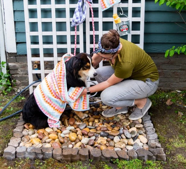 DIY Dog Wash Station