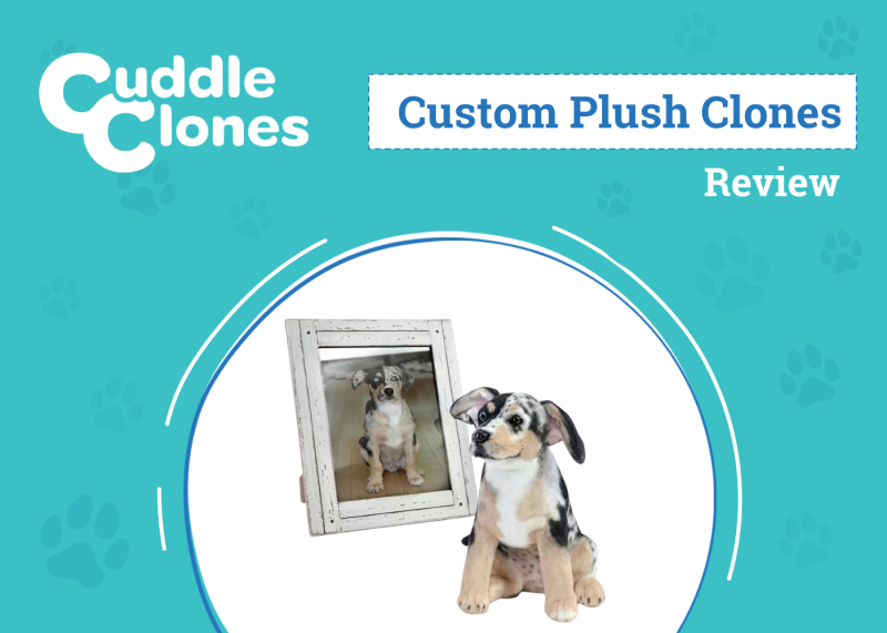Cuddle Clones Custom Plush Clones