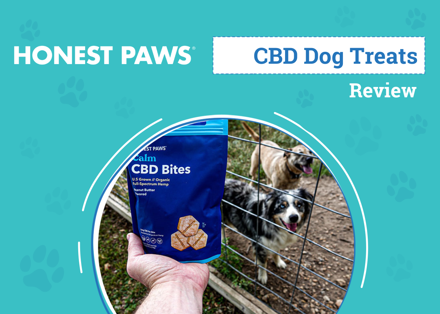 DOG_SAPR_Honest Paws CBD Dog Treats