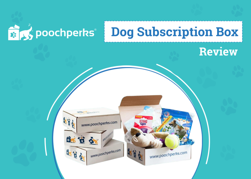 Pooch Perks Dog Subscription Box