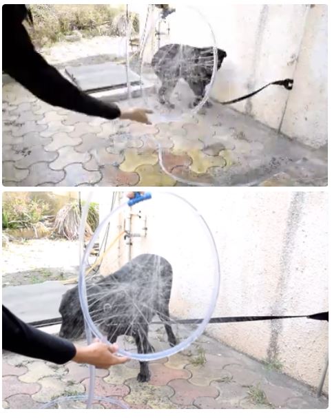 Wash ring Instructables