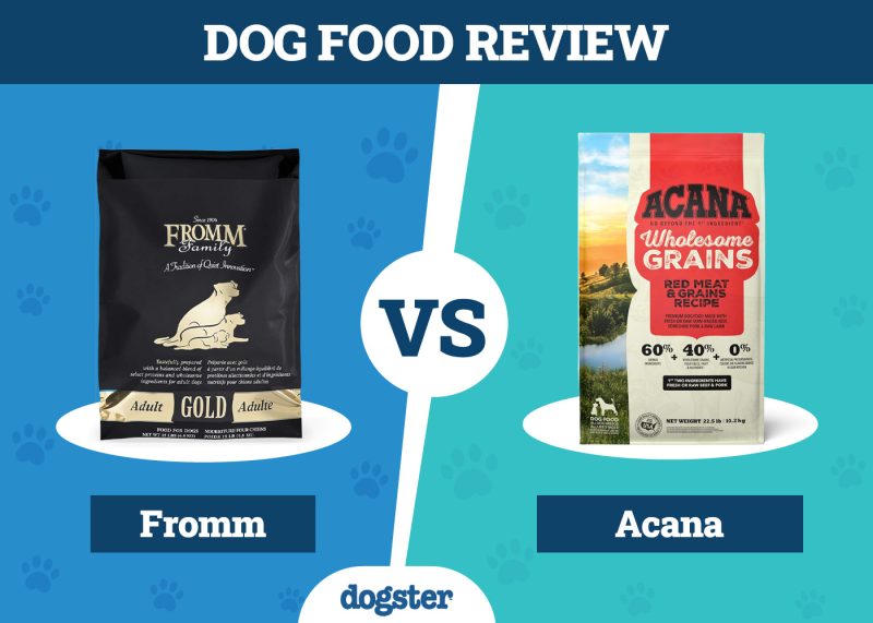 Dogster_Dog Food Fromm VS Acana