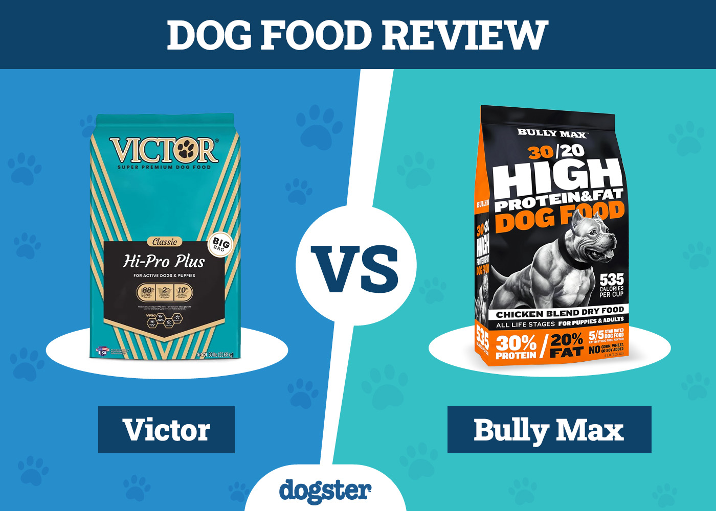 Dogster_Dog Food Victor VS Bully Max