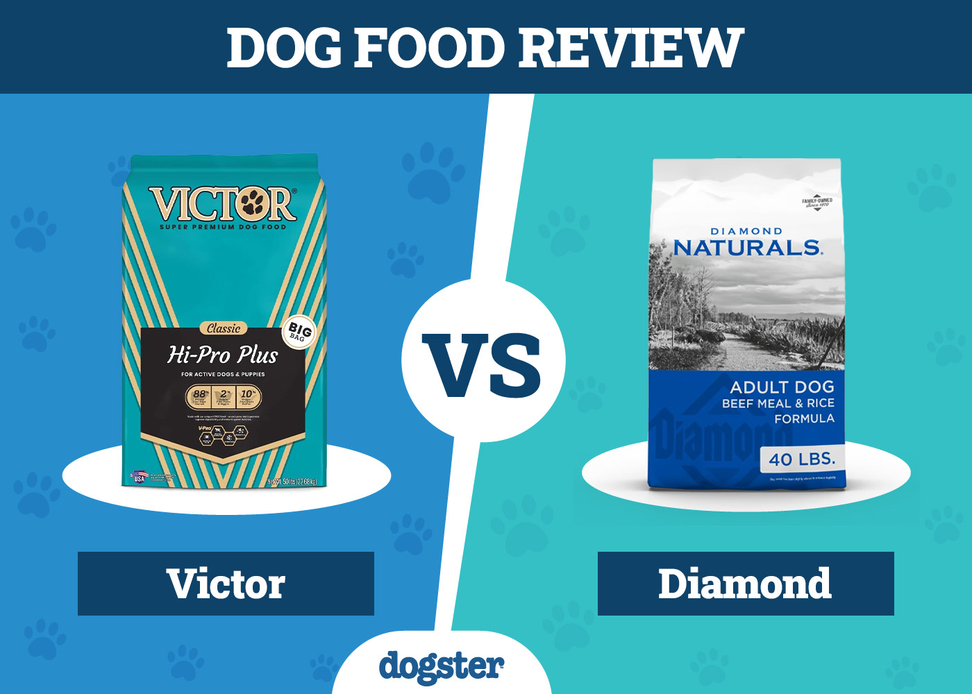 Dogster_Dog Food Victor VS Diamond