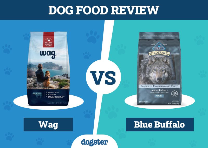 Dogster_Dog Food Wag VS Blue Buffalo
