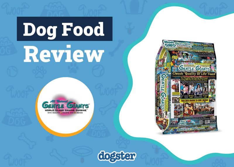 Dogster_Gentle Giants Dog Food Review