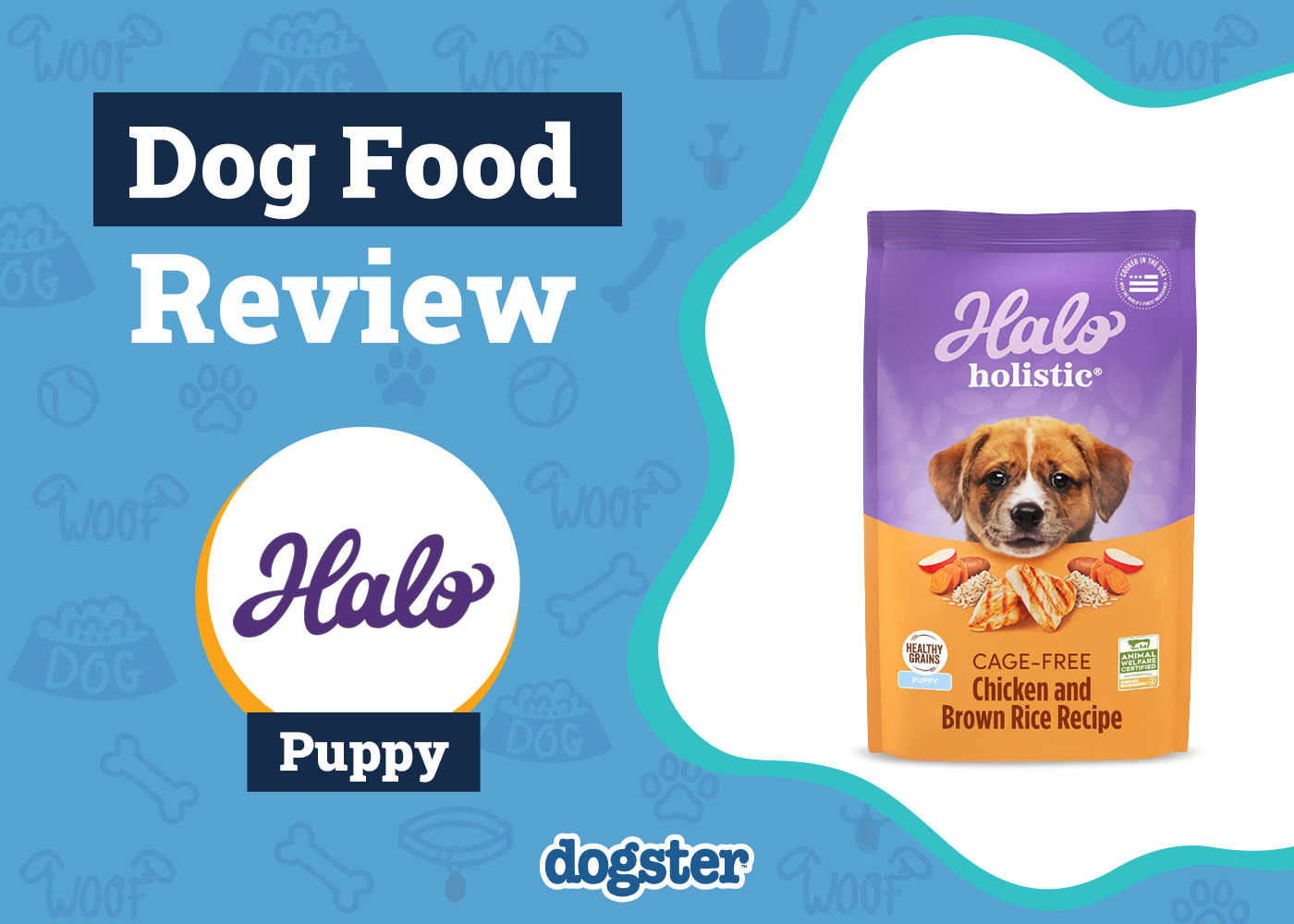 Dogster_Halo Dog Food Review