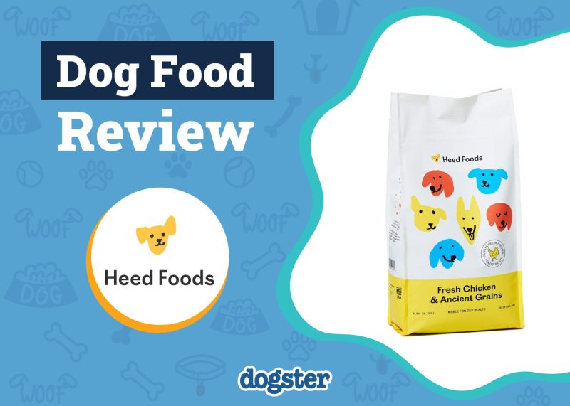 Dogster_Heed Dog Food Review
