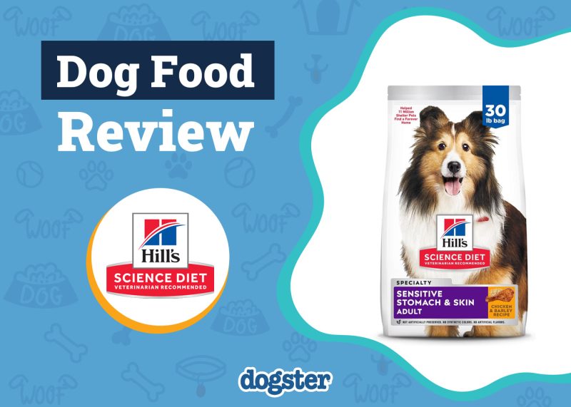 Dogster_Hill’s Science Diet Dog Food Review