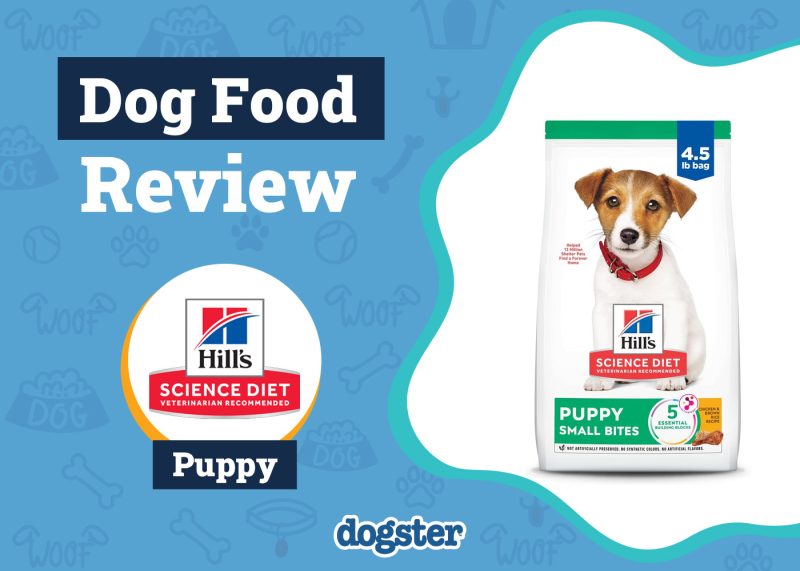 Dogster_Hill’s Science Diet Puppy Food Review