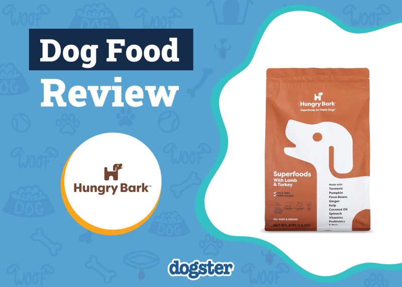 Dogster_Hungry Bark Dog Food Review